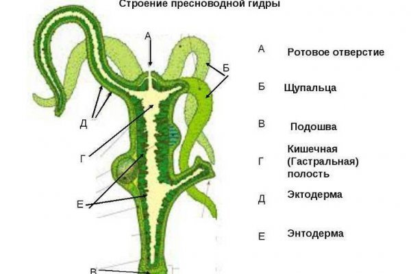 Мега зеркало сайта тор