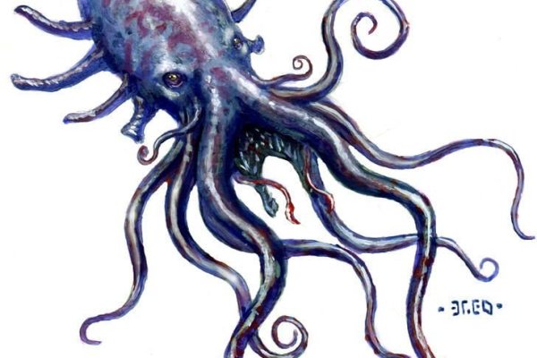 Kraken tor link