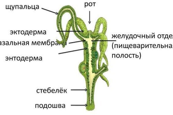 Кракен площадка ссылка